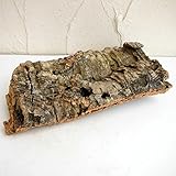 バージンコルクディスプレイ（小）約250ｇ[着生ラン・シダ類の栽培に]