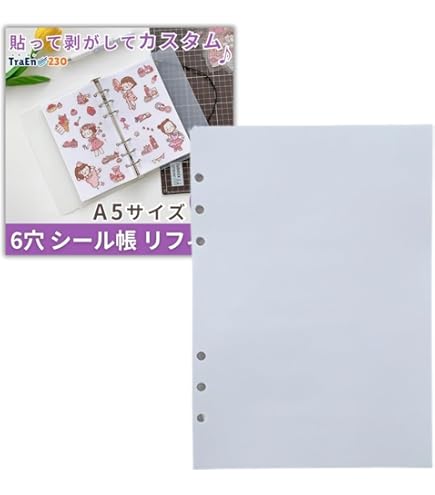 Amazon.co.jp: わたしのシールコーデ帳 A5サイズ システム手帳用