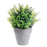 Supla 1 Pcs Fake Mini Boxwood Topiary Top Plant in Planter Potted Plant Artificial Plant clover in R