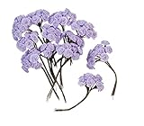 Darice B3573-07 Ribbon Rose, 1/2-Inch, Lavender, 144-Pack [並行輸入品]