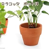 花ごころ ガーデニング用品・資材 テラコッタポット18 64695
