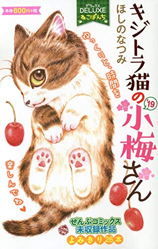 『DXねこぱんち キジトラ猫の小梅さん’』