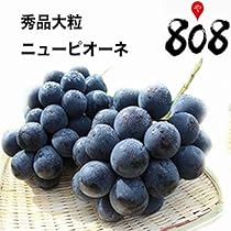 岡山県産 ニューピオーネ 超大玉 巨峰 5㎏ 岡山県産 くだもの大国 ニューピオーネ 約2kg（4～5房） の