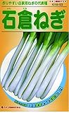 カネコ種苗 野菜タネ523 石倉ねぎ 10袋セット