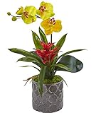 SKBファミリミニ胡蝶蘭Orchid and Bromeliadグレーで花瓶Blooming植物種カラーイエロー