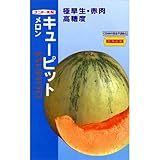 メロン 種 【 キューピット 】 種子 小袋（約8粒）