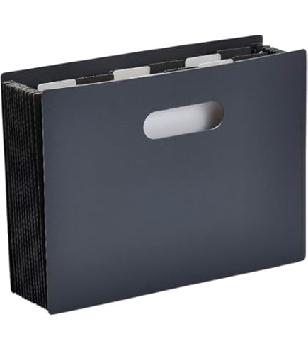 【人気商品】ライオン事務器 ドキュメントファイル A4 32P DC-531 ドキュメントファイル 32ポケット DC-531 ライオン事務器Webショップ