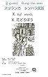 スリランカ　シンハラ民話: 花どろぼう