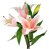 Hill Interiors人工ピンクLily Stem One Size ピンク UTHI2192_1
