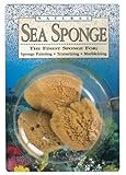 AlvinCo SS23 Natural Sea Sponges by HYDRA