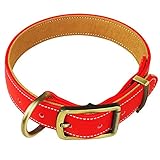 Beanspet 犬用首輪 レザーベルト 毛が挟まりにくい マイクロファイバーレザー 高耐久 軽量 小型犬 中型犬 大型犬 調整可能 おしゃれ (レッド, S)