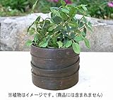 アンティーク 鉄製 花器 フラワーベース 花瓶 (2)