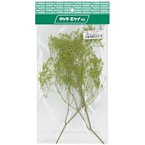 かすみ草ページ 61oRZXQE2FL._AC_UL210_SR210,