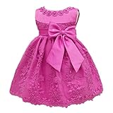 CHD 子供ドレス　ベビードレス ベビーデイジー セレモニードレス 結婚式 フォーマルドレス 子供服 女の子ノースリーブ 赤ちゃん お宮参り 刺繍　出産祝い プリンセスドレス　撮影ドレス (6, バラ