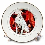 CP _ 457犬Dalmatian – ダルメシアン – プレート 8 inch Porcelain Plate cp_457_1
