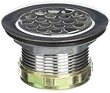 Everflow 7571 Stainless Steel Duplex Sink Strainer, [並行輸入品]