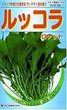 カネコ種苗 野菜タネ564 ルッコラ ロケット 10袋セット