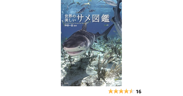 世界の美しいサメ図鑑 仲谷 一宏 本 通販 Amazon