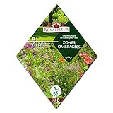 [シェードガーデンに！春・秋まき 花タネ][フランス花の種]日陰の多年草ガーデンミックス 1袋