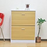 薄型★フラップ扉シューズボックス【passo】パッソ 2段12足収容