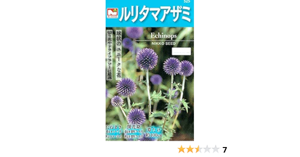 ルリタマアザミ種 厳選30粒 Central Pk