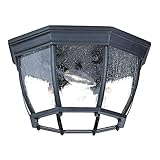 Acclaim 5603BK/SD Flush Mount Collection 4-Light Ceiling Mount Outdoor Light Fixture, Matte Black by