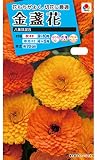 タキイ種苗 金盞花八重咲混合