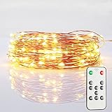 LEDMO Remote Control Dimmer Copper Wire String Lights Single Color Dimmable Flash Modeled Blinking, 