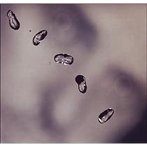 51XIuxpItBL._AC_UL210_SR210,