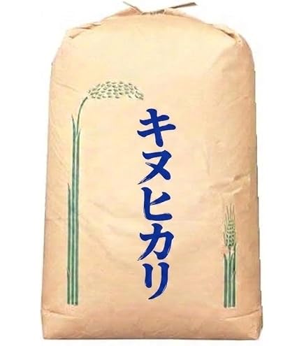 食品 無洗米加工 令和2年 埼玉県産 検査米1等級 新米 コシヒカリ 玄米 30kg