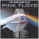 Top Musicians Play Pink Floyd