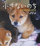 小さないのち―まほうをかけられた犬たち