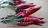 ~Coco Heart~　トウガラシ　ドライフラワー　ハーバリウムに大人気　（ハーバリウム、アロマキャンドルバー、木の実・ドライフラワー）