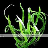 Approx 100 Seeds / Variety, 1 Professional Pack / Variety, 25 Types Aquarium Grass Seeds Water Aquat