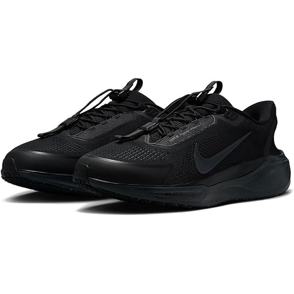 Amazon | [ナイキ] ペガサス イージーオン Pegasus EasyOn ブラック