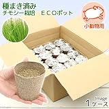 ペットウサギのおやつを栽培 新鮮な草をあげてストレス解消しよう アニマペット 動物飼育員がペットの飼い方を教えます