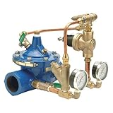 Wilkins 114-ZW209TH Pressure Reducing Valve [並行輸入品]