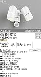 オーデリック　エクステリアライト 【OG 254 557LD】【OG254557LD】