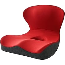 balans ハート型姿勢矯正チェア 赤 楽天市場】椅子に置く 骨盤 矯正 姿勢矯正 骨盤 サポートチェア