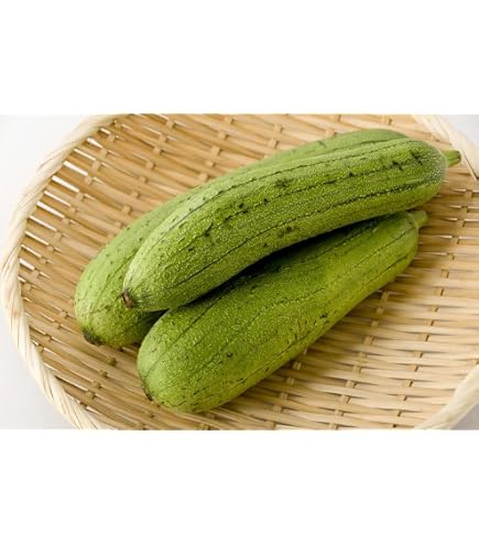 新鮮 なヘチマ19キロ Amazon.co.jp: 沖縄産 新鮮なヘチマ へちま 1キロ・Okinawa fresh