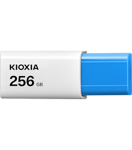 Amazon | パナソニック LK-RF240UZ(USB接続240MBスーパーディスク