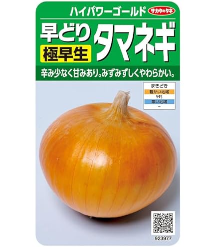 Amazon.co.jp: サカタのタネ 極早生タマネギ「ハイパワーゴールド」の