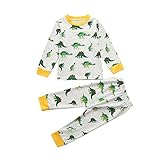 Tovadoo 子供服 男の子 トップス+ズボン 春新作 長袖 恐竜柄 グリーン パジャマ 可愛い プレゼント 通学 旅行 2-7歳