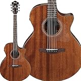Ibanez アイバニーズ AEシリーズ エレクトリックアコースティックギター AE295-LGS
