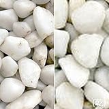 マツモト産業 ヤマト和風本玉石 白玉石(20kg)(10袋セット) 5分(16-20mm)