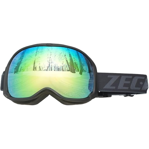 Amazon | 【A7180834】ALPINA アルピナ ゴーグル NAKISKA Q-LITE