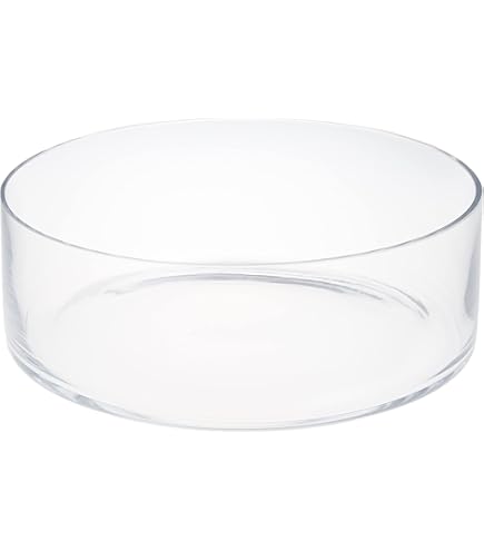 Glasia　水上育成用　６０×３０×１０ｃｍ　６０ｃｍ水槽　単体　沖縄別途送料 Amazon | GLASIA 水上育成用 600（60×30×10cm