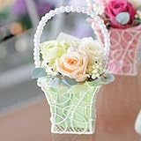 みずみずしい生花の風合を保つ花 エーデルワイス 【ローズパーティーパステル-グリーン】 プリザーブドフラワー 枯れないお花