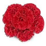 Soledi人工花10ヘッドLifelikeカーネーションのウェディングホームバー装飾 レッド AF41