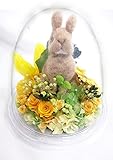 【プリザーブドフラワー／オルゴールアレン】ドームの宇宙に咲く黄色いお花とウサギさんからの伝えたい幸せな物語【リボンラッピング付き 送料無料】